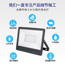Ole LED floodlight outdoor waterproof floodlight spotlight outdoor lighting garden factory searchlight 100W
