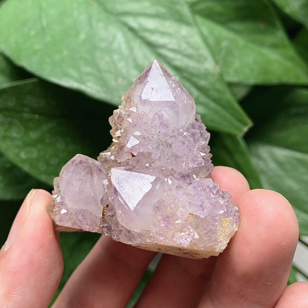 South Africa Natural Cactus Amethyst Rough Stone Amethyst Specimen Amethyst Cluster