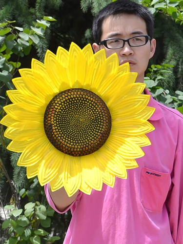 Стадия детского сада моделирование подсолнежного подсолнечного танца подсолнечника