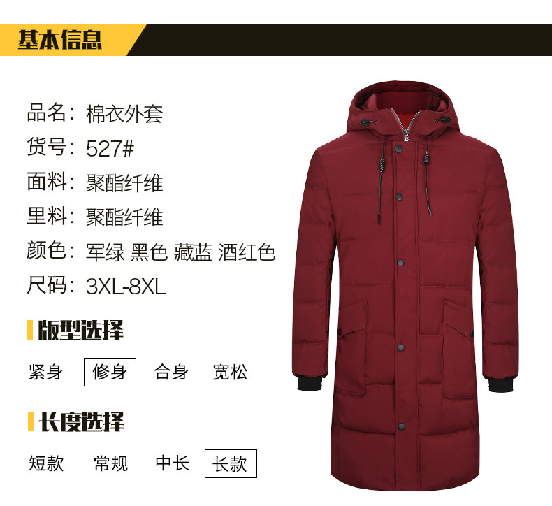 Blouson hiver pour homme   OTHER - Ref 3112317 Image 8