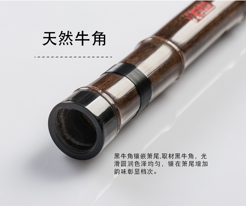 Bão Qinqin chuyên nghiệp Bão với lỗ chơi Guqin, nhạc cụ dân tộc f t g có thể được tùy chỉnh - Nhạc cụ dân tộc sáo tiêu