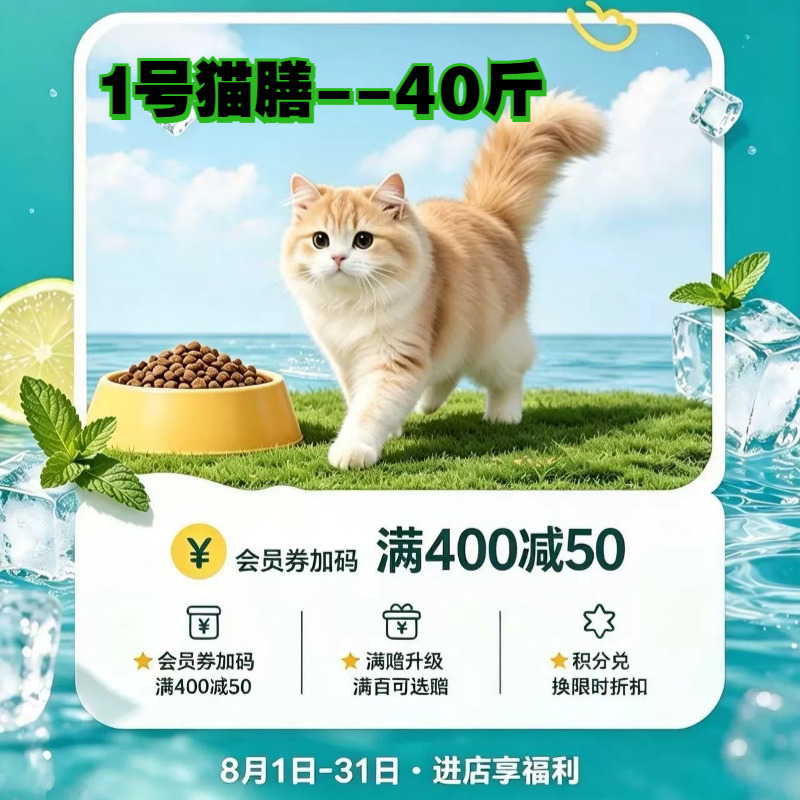 A-Xing Vegetarian Pet Food No.1 Vegan General Food for Kittens/Easy to Digest, Bright Coat/ 2.5kg *8 Bags/Total 20kg A-Xing Vegetarian Pet Food No.1 Vegan General Food for Kittens/Easy to Digest, Bright Coat/ 2.5kg *8 Bags/Total 20kg
