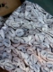 Молочно белый счастлив