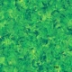 Emerald Green 10#Half -код