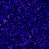 TOEIC 20#Half -Код