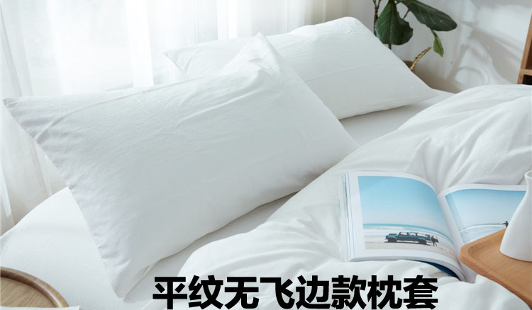 Star hotel gối bông satin gối đơn mã hóa khách sạn trong sạch bộ tabby gối trắng đặc biệt - Gối trường hợp gối ngủ văn phòng