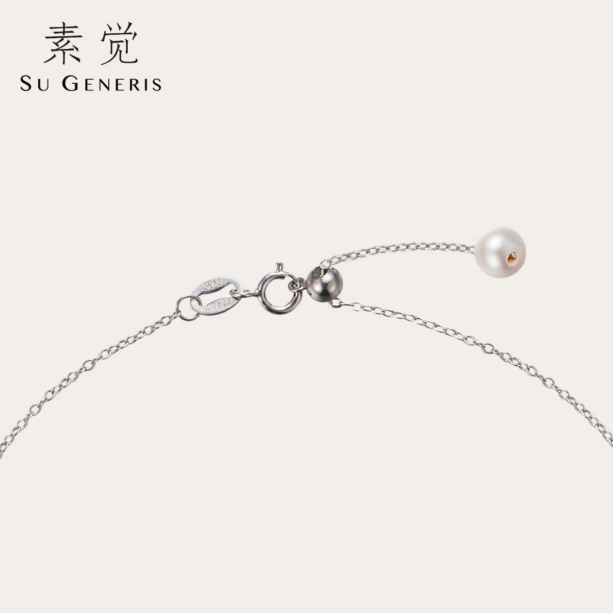 Chaine de cheville Femme en Argenterie - Ref 3103852 Image 4