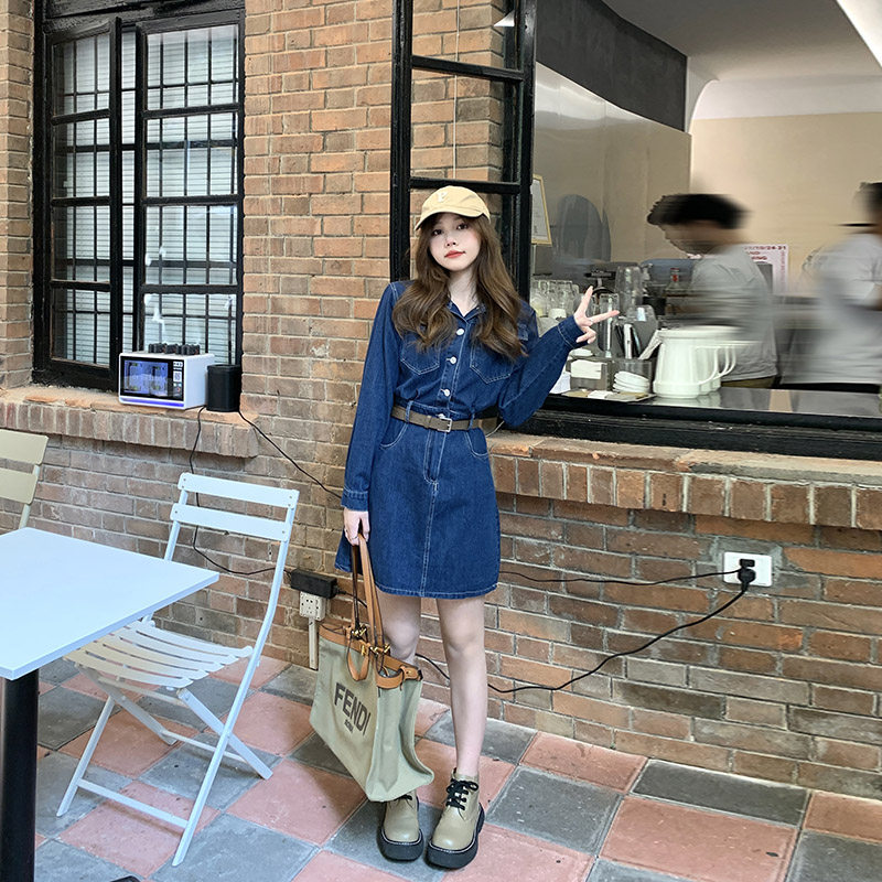 Zhang Dao's size women's dress 2022 Spring loaded with new fat younger sister mm Conspicued Dress Retro Denim Foreign Dress