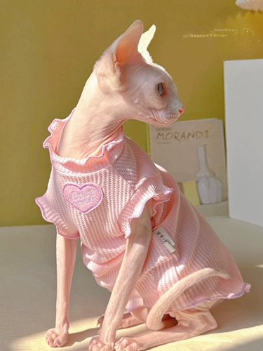 Y · h nils fanfan fanfu's Gefer's Sleecked Elice -рукав Vecent Short Sphinx Mirlonless Ctliding German