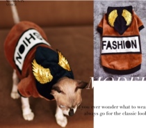 YH-handsome golden silk embroidered winter thickened silver fox suede soft Yonghe Svenx no wool cat clothes German