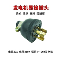 Petrol Dynamo Accessories 1-10KF Dynamo 220V Plug Pure Copper American Dynamo Special Plug