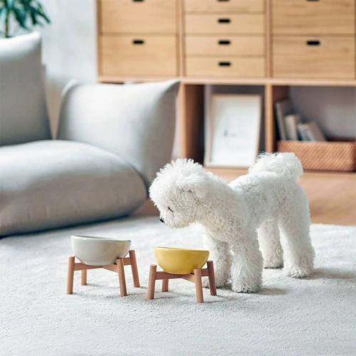 Муджи муджи фарфоровая миска домашние животные кошачьи чаша для собачьей чаши для любимых животных бассейн