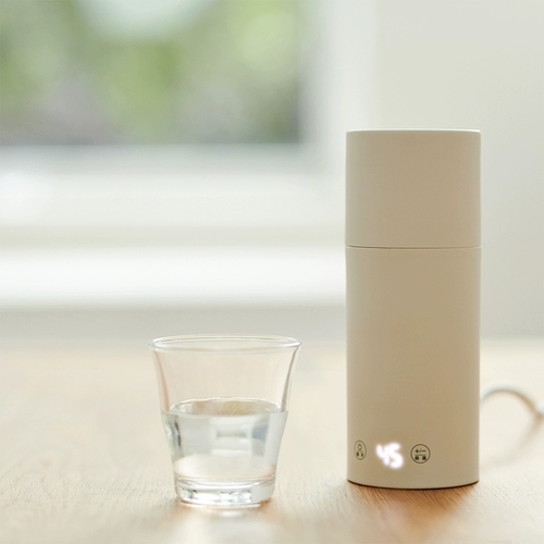 Портативный чайник для путешествий, стальной ремешок из нержавеющей стали, универсальный термос, 300W