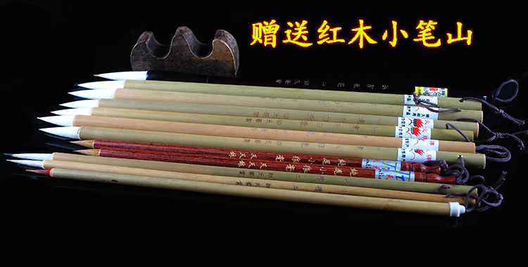 Boneless fine brushwork painting flower and bird characters animal silk hair small script fine brushwork Chinese painting special package