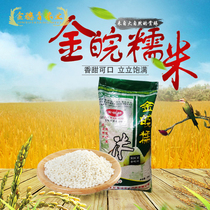 23-year-old Anhui Jinwan brand large-grain pure glutinous rice soft and fragrant glutinous fermented rice balls 50 catties package rice dumplings fermented fermented rice
