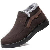 2001 Coffee Color