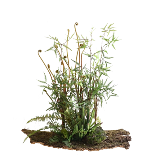 Мори зеленое симуляция манго глубокие горные растения папоротник листья листовые ботанический ландшафт цветочный балкон