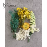 Сухие цветы вечные цветы полны звездных цветов хризантемы, а не забытые гордцы, эмбаргали Chrysanthemums Diy Декоративный материал