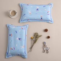 Xinjiang long velvet cotton polished childrens pillowcase cartoon autumn and winter pillowcase 30x50 trumpet 40x60 student pillowcase