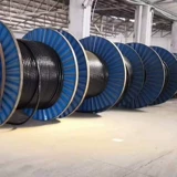 Jiangnan Aluminum Core Cable 3 Core 4 Core 5 Core Threephase Fourphase Four -Line 150 185 240 300 400 квадратных четырехерных алюминиевых линий