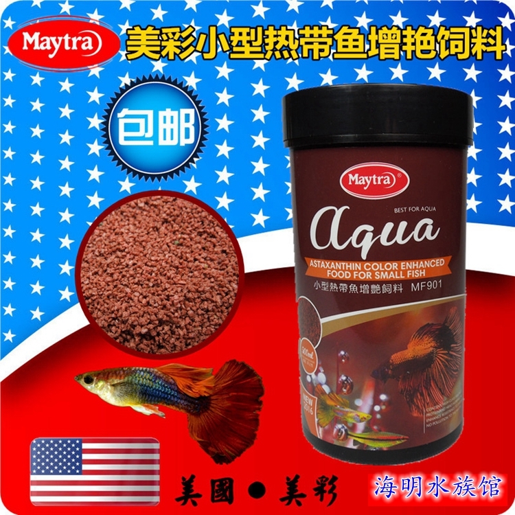maytra beautiful small fish feed fish food fish food traffic light guppies fry lamp family