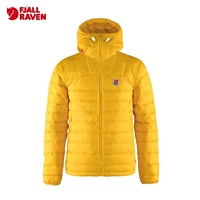 154 Одуванчик желтый