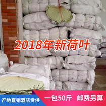 Weishan Lake whole pack wild whole lotus leaf lotus leaf tea dried lotus leaves for making tea lotus leaf rice lotus leaf chicken 50 pounds a pack