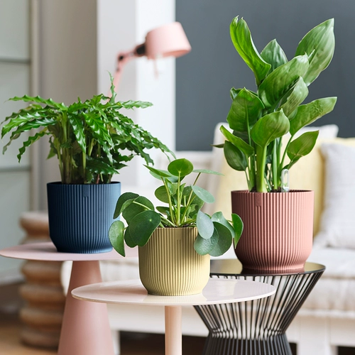 Elho Self -Absorbing Flower Pot в европейском стиле простой ленивый настольный цветочный цветок зеленый пластиковый цилиндрический столб