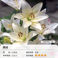 Карандаш для глаз, 14-16см