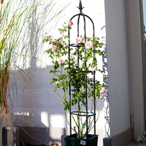 (Mass vendor bracket) Hongyue DAIM climbing climbing flower fixed rose clematis special flower stand