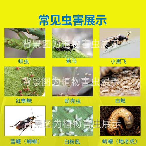 Schiqi Spray Home с санитарными пестицидами.