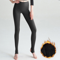 Imperii Snoop Warm Beating Underpants Lady Plus Suede Thickened Autumn Winter New Sexy Shark Pants Warm Underwear Autumn Pants