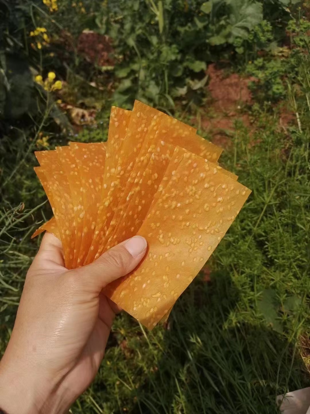 Hunan Pingjiang Special Produce Ready-to-eat Farmhouse Diy Sweet Potato Slices Zero Food Sweet Potato Sesame Ground Melon Slices Snack 500g