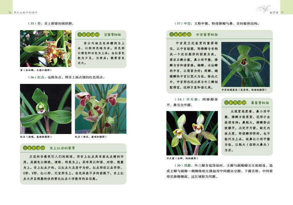 兰花养殖秘籍大公开!从新手到高手的必读书籍🔥-养花书籍-淘宝百科网