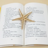 Чат записи о Салуни Ирландии Иностранные иностранные романы Обычные люди Европейские и американские литературы иностранные романы ежегодные молодежные писатели.