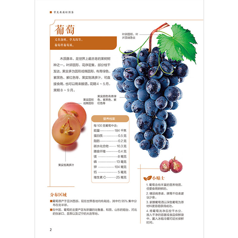 了解140余种果蔬全貌:营养与生长习性科普问答