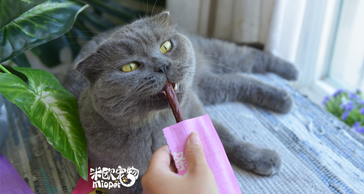 Mio Pet N nghịch mèo Dải ba mảnh Triptych Cat Molar Rod Meat Strip Pure Meat Cat Snack 18g thức ăn cho mèo con