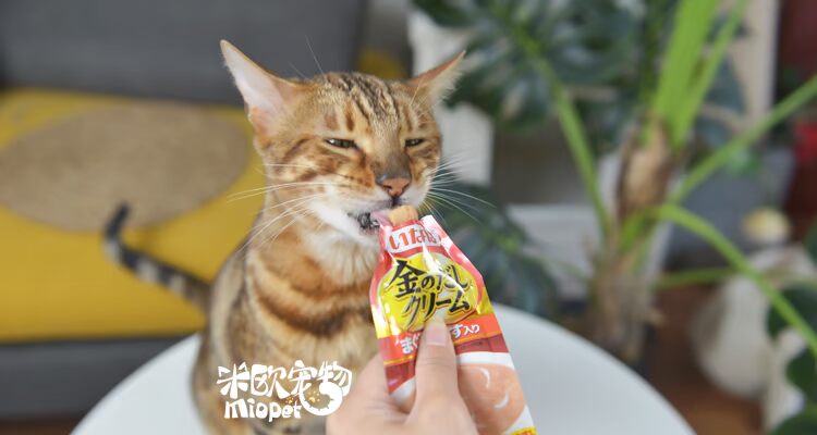 Mio Pet | Inabao CIAO Gold Hương vị dinh dưỡng Paste Cat Liquid Snacks Cat Wet Food 2 Pack 60g ca hop
