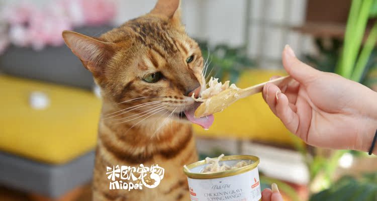 Miou Pet Thái Lan pals pet Pus vào mèo trái cây và rau mèo mèo nồi mèo đóng hộp snack 70g - Đồ ăn nhẹ cho mèo hạt nào tốt cho mèo