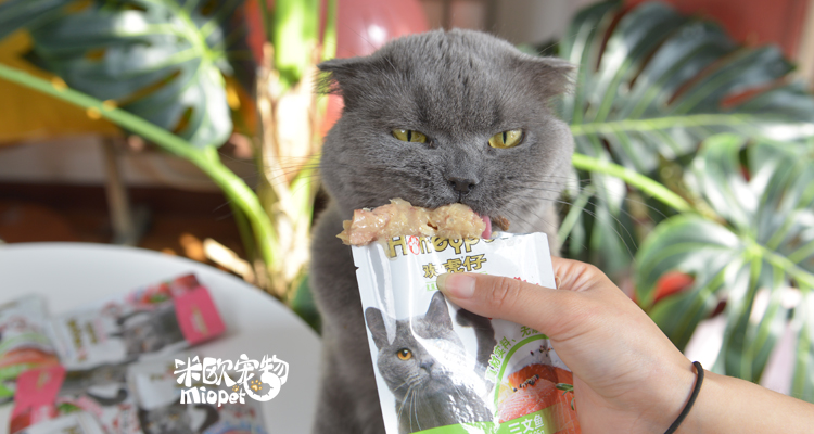 Thú cưng Mio Cat Tiger Cat Snacks Cat Soft Cat Wet Food 85g * 12 Túi - Đồ ăn nhẹ cho mèo hạt cateye cho mèo có tốt không