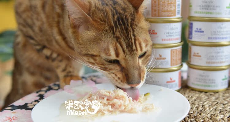 Miou Pet Thái Lan pals pet Pus vào mèo trái cây và rau mèo mèo nồi mèo đóng hộp snack 70g - Đồ ăn nhẹ cho mèo hạt nào tốt cho mèo