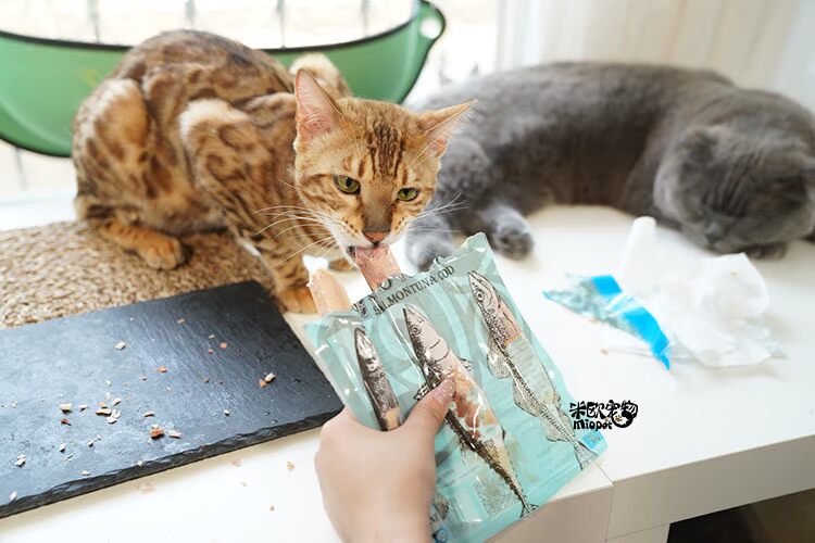 Thú cưng Mio Rất nhiều cá K9 Fun Sea World Sashimi Fish Strips Fish Cat Snacks hạt cateye cho mèo có tốt không