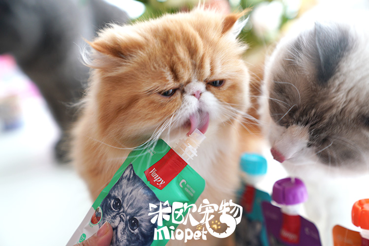 Mio Pet Naughty Wanpy Fresh Meat Cat Snack 90g Cat Food Đối tác Liquid Cat Dry Food Bag thịt spam