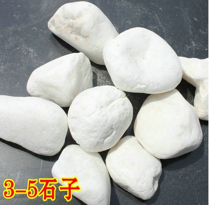 Đá trắng / Đá trắng Sản phẩm làm vườn chất lượng cao Pebble Rain Stone Factory Kích thước trực tiếp 500g - Nguồn cung cấp vườn vòi tưới nhỏ giọt