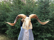 Sheep head decoration wall hanging real sheep skull specimen sheep skull crafts wall pendant cow skull specimen pendant