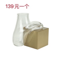 Simple Modern hydroponic glass vase desktop ornaments metal abstract flowing flower arrangement vase