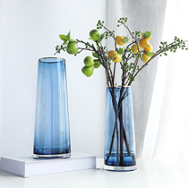 Vision Nordic light luxury gold edge glass vase colored water bouquet home TV cabinet dry flower decoration ornaments