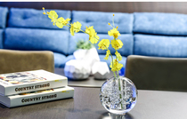 Joker bubble light ball crystal glass transparent vase