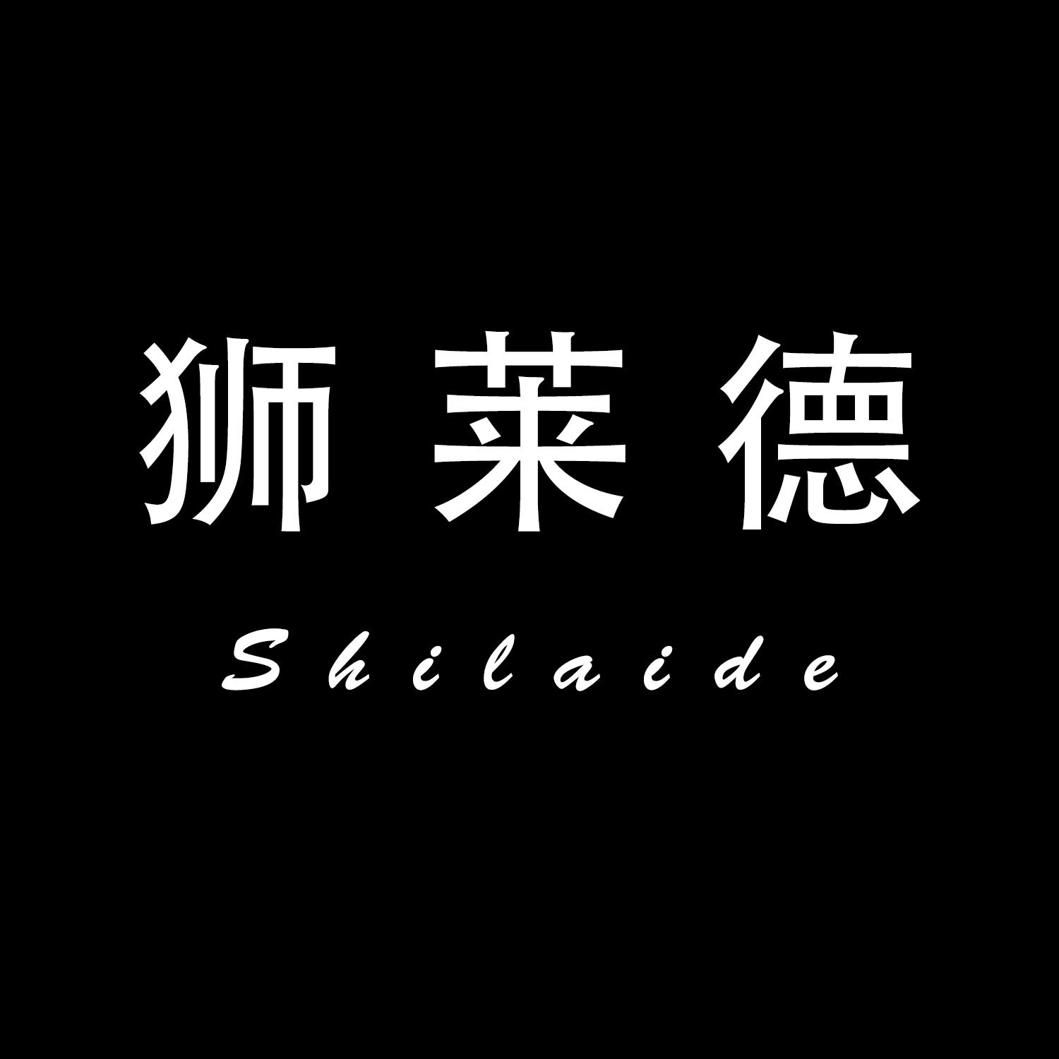狮莱德工作室
