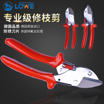 * German Lion Scissors LOWE Lion Scissors Anvil Scissors Series Horticultural Scissors Pruning Sears Orchard Scissors
